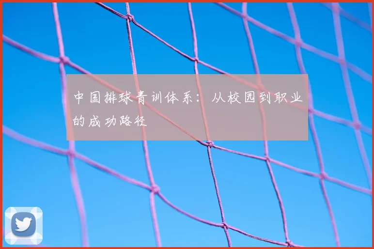 中国排球青训体系:从校园到职业的成功路径