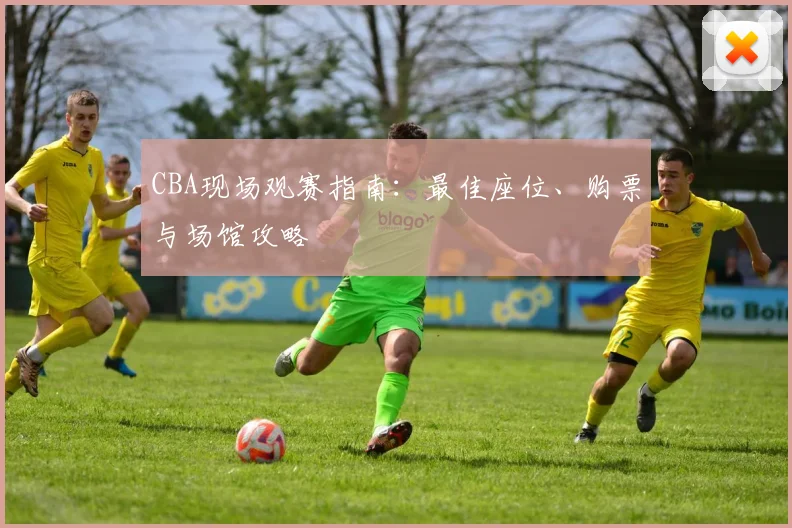CBA现场观赛指南：最佳座位、购票与场馆攻略